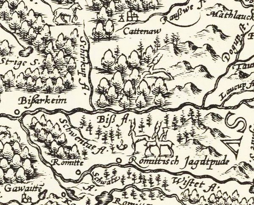 Карта. Нарисованные олени в выдуманном лесу. Раминта на карте 16-го векаФото: 1