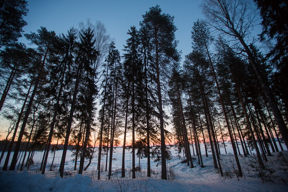 Раннее утро в ФинляндииФото: 4