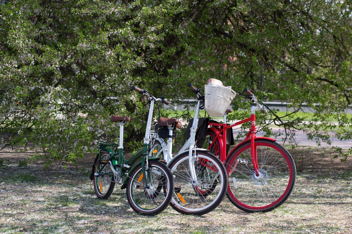 Велосипед Shulz Krabi C, 24, складной, с корзиной Велосипед Le Grand Bowman, 26", круизерВелосипед BMX Code Bikes MeatGrinder, 20"Фото: 9