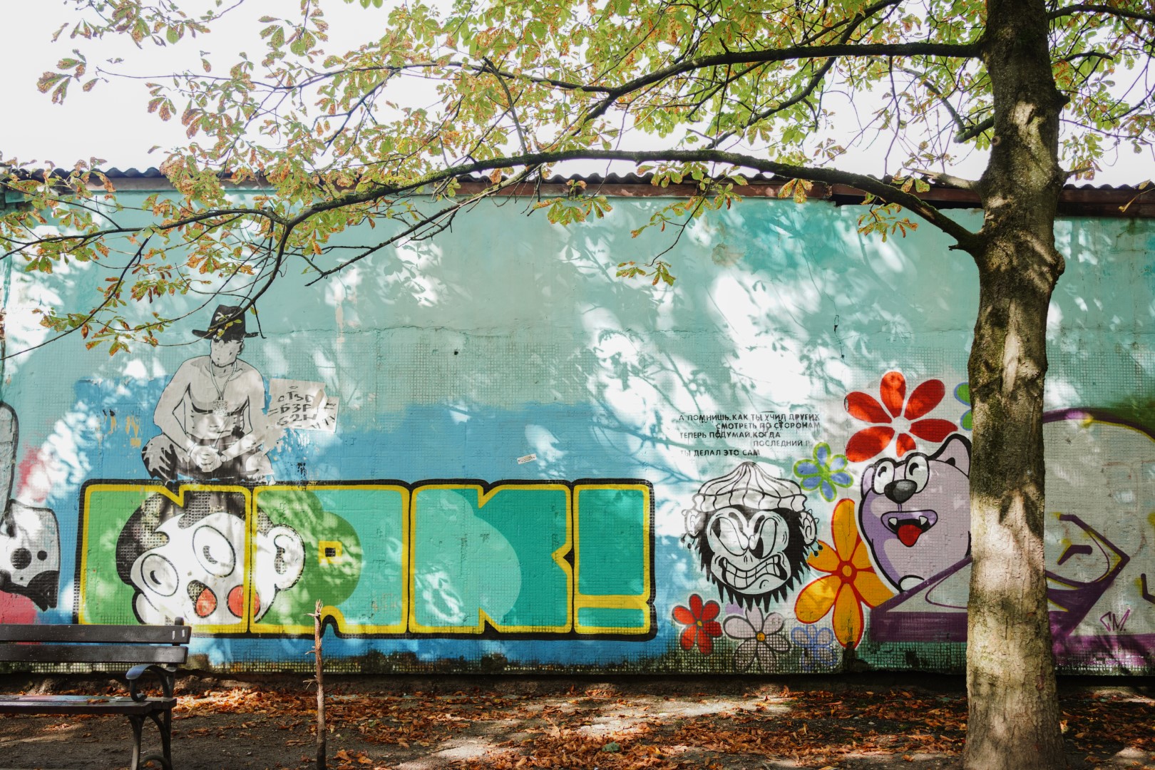 Фестивальная аллеяФото: 2