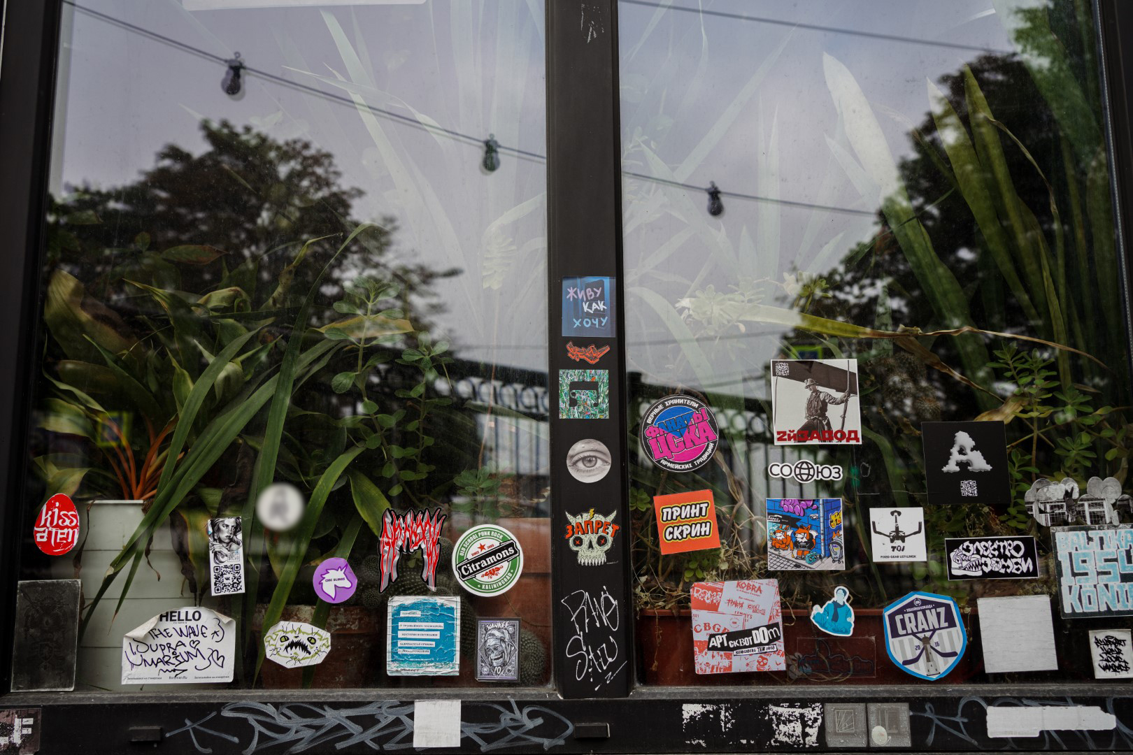 Бар «Ельцин»Фото: 4