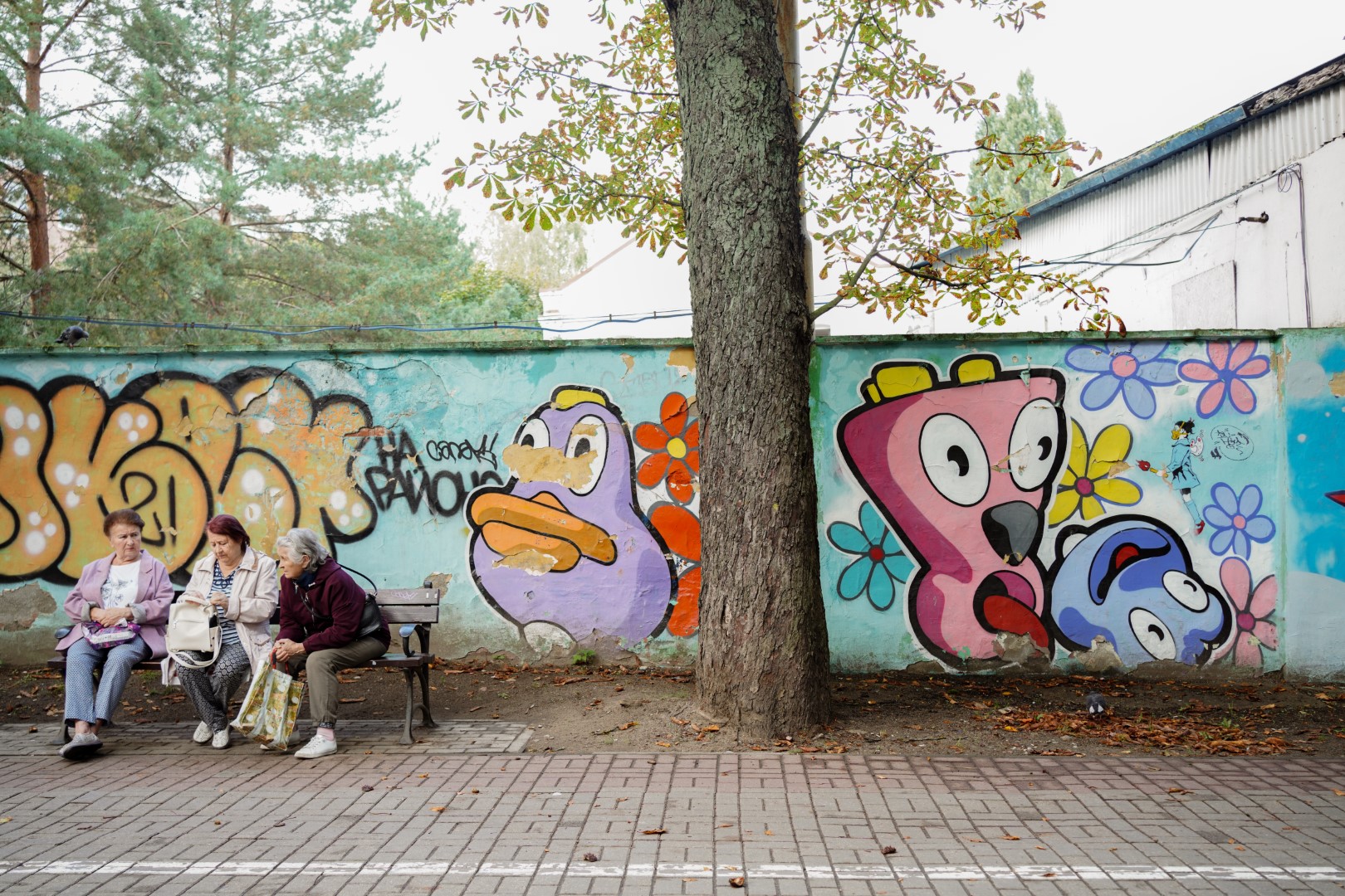 Фестивальяная аллеяФото: 2