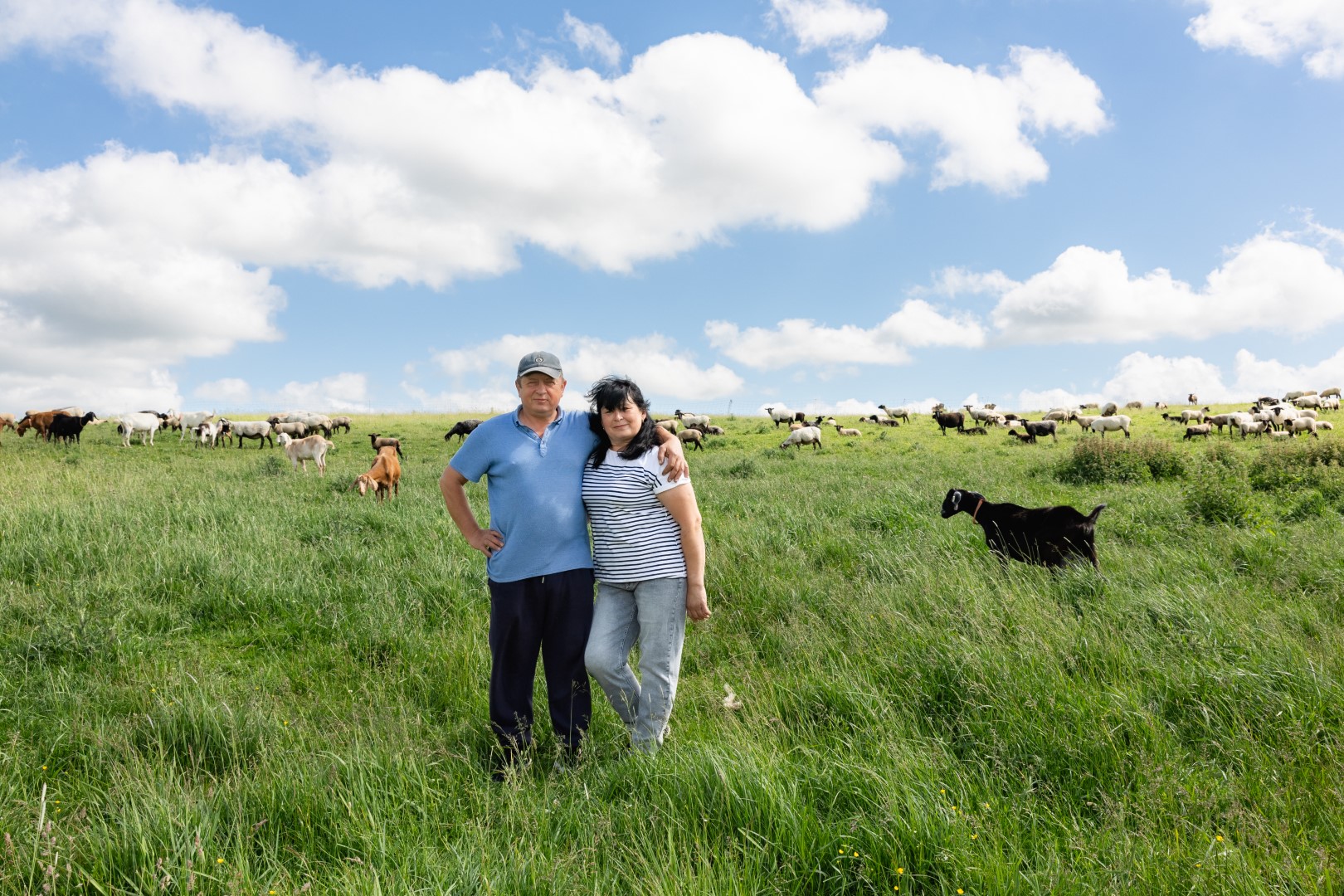 Фото: 4