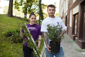 Зелёный бизнес: История молодой пары из Норильска, покорившей рынок микрозелени Калининграда
