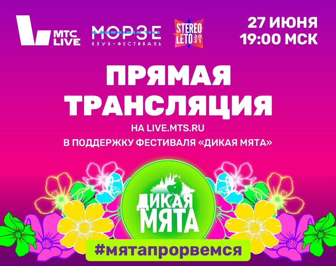 Калининградцы могут посмотреть бесплатный онлайн-фестиваль с артистами «Дикой мяты»