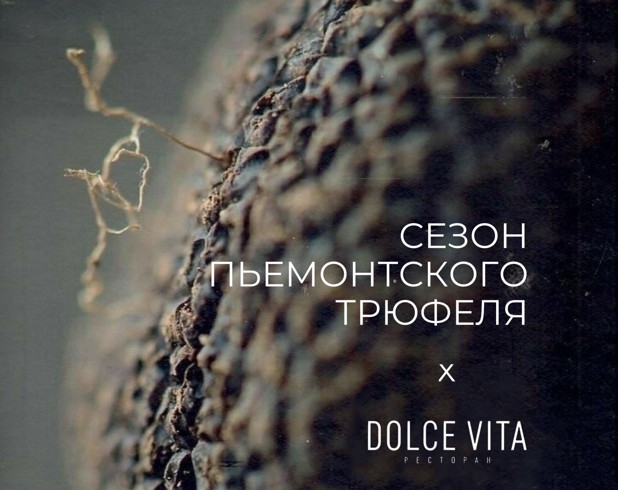 Пьемонтский трюфель из Италии в ресторане Dolce Vita 