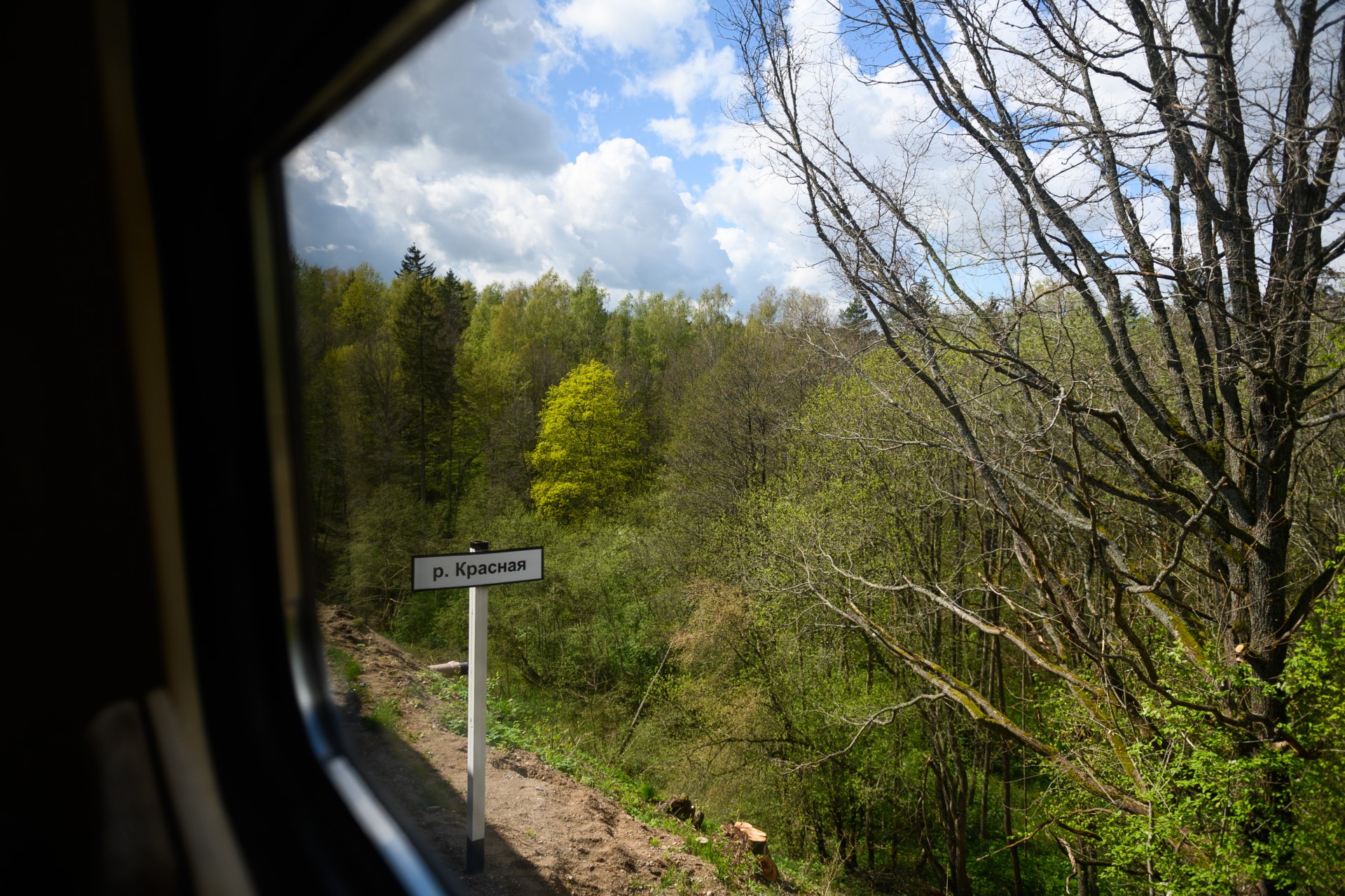 С 1 мая запустили рельсобус из Калининграда в Краснолесье