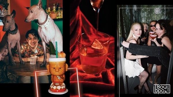 Тур де бар: Где тусить в Калининграде