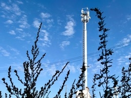 5G: В Калининградской области впервые заработала сеть пятого поколения